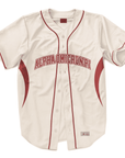 Alpha Omicron Pi - Tiger Stripe - Baseball Jersey